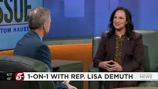 Demuth to focus on fraud, will consider running in primary