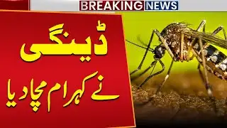 Dengue Outbreak Causes Chaos | Situation Getting Worse | Public News