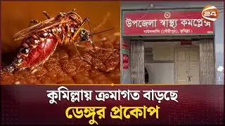 কুমিল্লায় ক্রমাগত বাড়ছে ডেঙ্গুর প্রকোপ | Dengue Outbreak | Cumilla | Channel 24