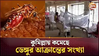 কুমিল্লায় কমেছে ডেঙ্গুর আক্রান্তের সংখ্যা | Dengue Outbreak | Cumilla | Channel 24