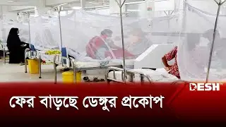 কুমিল্লায় বাড়ছে ডেঙ্গুর প্রকোপ, আতঙ্ক ছড়াচ্ছে জনমনে | Dengue Outbreak | Live News | Desh TV