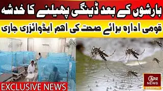Dengue Outbreak Risk After Rains – NIH Issues Advisory | ARZ NEWS DIGITAL