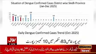 Dengue Outbreak Worsens in Sindh | Cases Increasing Alarmingly | Breaking News