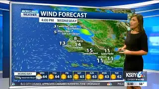 Dense fog could produce morning drizzle