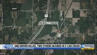 Deputies: 1 killed, 2 seriously hurt in Cedar Springs-area crash