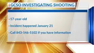 Deputies investigating at teen shot in Georgetown County