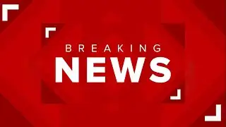 Deputies seize exotic animals