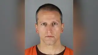 Derek Chauvin: The Case before George Floyd