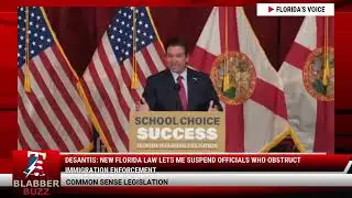 DeSantis: New Florida Law Lets Me Suspend Officials Who Obstruct Immigration Enforcement
