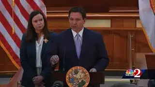 DeSantis vetoes Florida