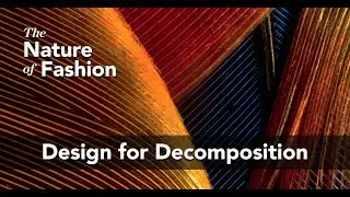 Design for Decomposition: A Peek into the Initiative