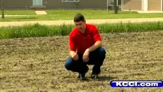 Despite rain drought conditions continue
