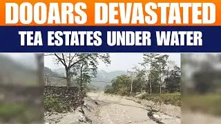 Devastating Floods Hit Dooars, Tea Estates Inundated | News9