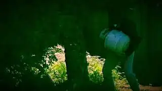 Devastating News From Batiquitos Lagoon Foundation