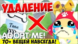DEVELOPERS ARE REMOVING MORE THAN 70 THINGS FROM ADOPT ME! 😱😲NEW UPDATE! 👀 ADOPT ME