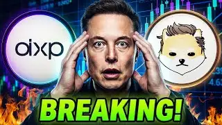 DEXRP vs Dogelon Mars: Whale Moves + Next Price Target