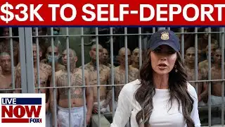 DHS: $3K for undocumented migrants to self-deport