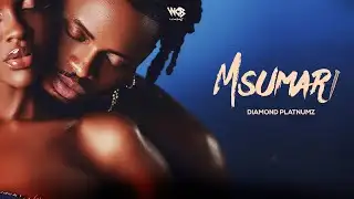 Diamond Platnumz - Msumari (Official Lyric Video)
