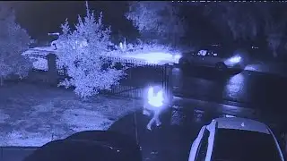 Did Amazon Driver Try To Keep Customer