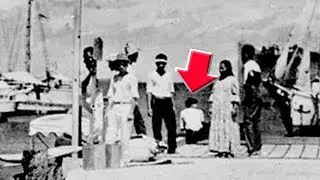 Did Amelia Earhart Survive Crash?