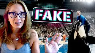 Did an Orca Attack Trainer Jessica Radcliffe?