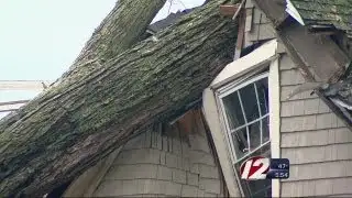Did Irene Leave Less Trees for Sandy to Knock Over?