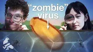 Did we just unfreeze a pandemic?