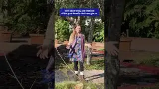 🌳 Did you know Arbor Day has been celebrated since 1874?