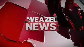 Diffusion en direct de Weazel News