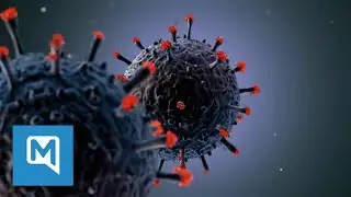 Digitaler Impfpass wird vorgestellt: Spahn und Wieler klären auf