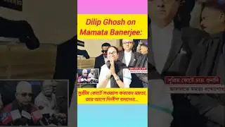 Dilip Ghosh on Mamata Banerjee: সুপ্রীম কোর্টে সওয়াল করবেন মমতা, তার আগে দিলীপ বললেন...#shorts