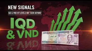 Dinar & Dong CRITICAL Update 2026 🚨 Levels We