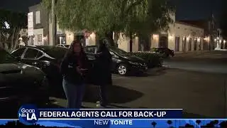 Dinner Turns Chaotic: TSA Workers Mistaken for ICE Draw Protest in Lynwood