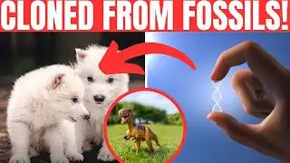 DIRE WOLVES ARE BACK! 🐺 Scientists Revive Extinct Predator | Real-Life Game of Thrones?