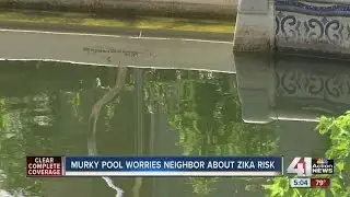 Dirty backyard pool frustrating Independence residents