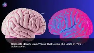 Discover Nexus News - Weather Updates and Forecasts