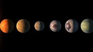 Discovery of Earth-like planets thrills scientists