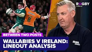 Discussing the Wallabies