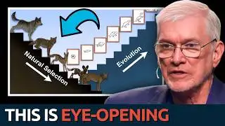 DISMANTLING Atheists’ Top Objections to the Bible | Ken Ham