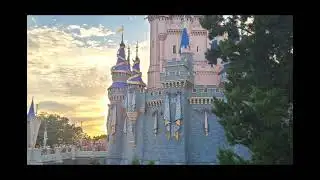 Disney World Just Dropped HUGE News for Passholders!