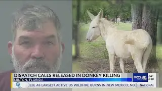 Dispatch calls released in donkey killing
