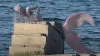 Disturbing Mermaid Discoveries Scientists Can’t Explain