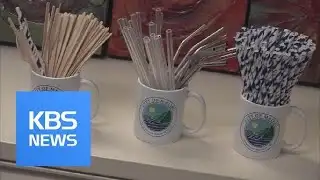 Ditching Plastic Straws / KBS뉴스(News)