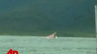 Divers Find No Survivors From Overturned Ferry