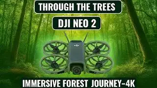 DJI Neo 2: Through the Trees | Nitro’s Precision Forest Dive (4K)