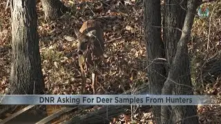 DNR asking for deer samples from hunters