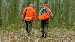 DNR Checking For Chronic Wasting Disease During Firearm Deer Hunting Season