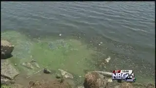 DNR Expecting More Fish Kills After Harsh Winter