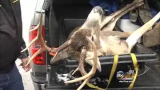 DNR reaches one millionth deer check