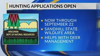 DNR: Special deer hunt at Sandhill set for November, applications now open